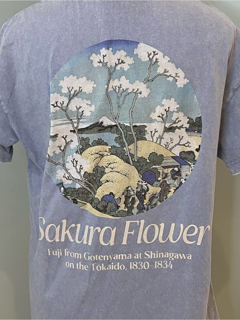 Pull&Bear graphic t-shirt | washed blue featuring “Sakura Flower" | Size XS - Picture 4 of 9